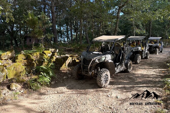 30 Minutes Buggy Ride