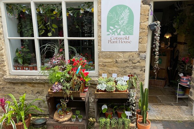 30 Minutes Private Terrarium Making Experience in Cirencester - Materials and Plant Selection