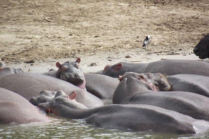 08 Days Classic Uganda Primate Tour - Booking and Cancellation Policy