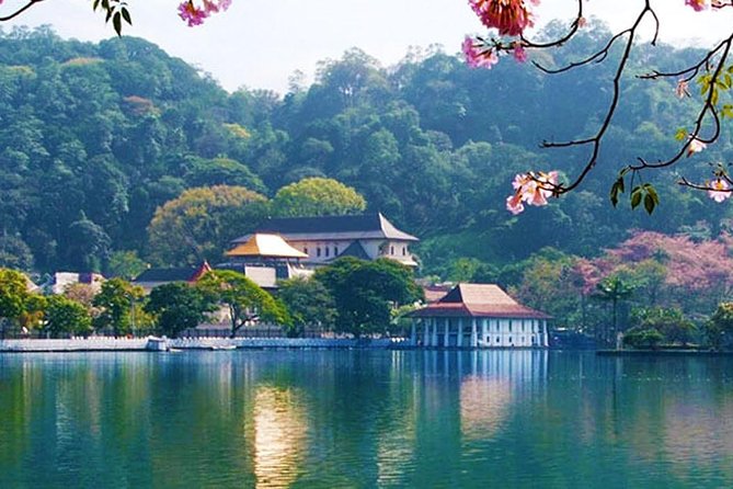 08 Nights in Magical Sri Lanka - Cancellation Policy