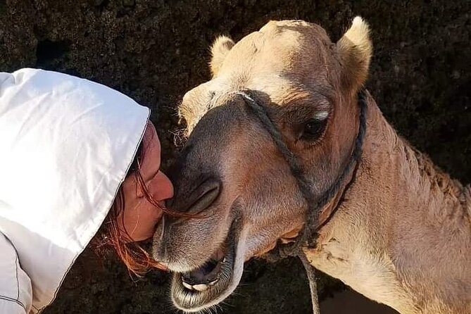 1/2 Day Camel Trekking in Essaouira With Meals - Good To Know