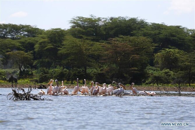 1 Day Bike Tour to Hell's Gate And Lake Naivasha - Important Notes