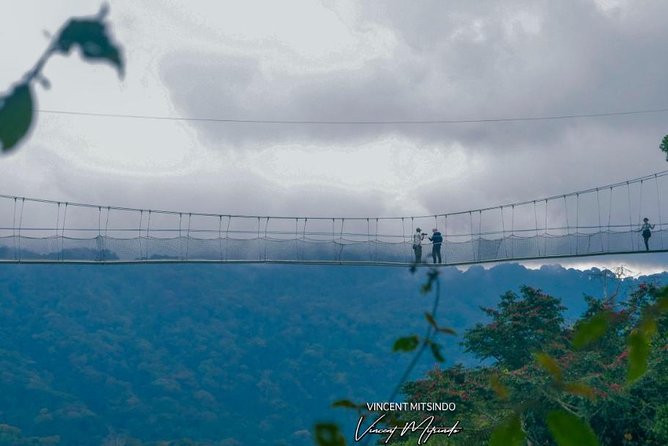1 Day Canopy Walk Adventure in Nyungwe Forest Park (2 Pax Min) - Reviews and Ratings