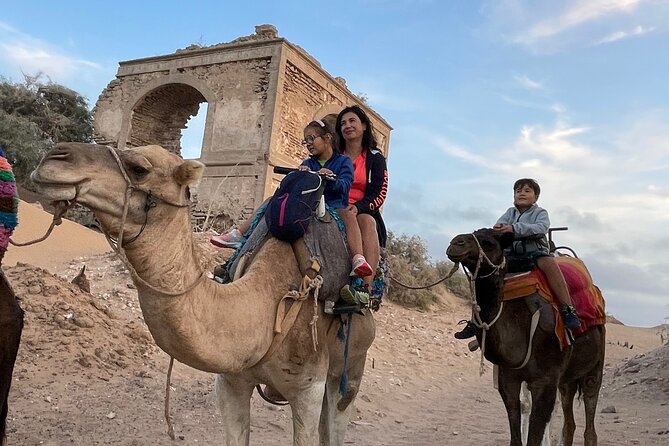 1 Day Dromedary Ride Near Essaouira - Accessibility Information