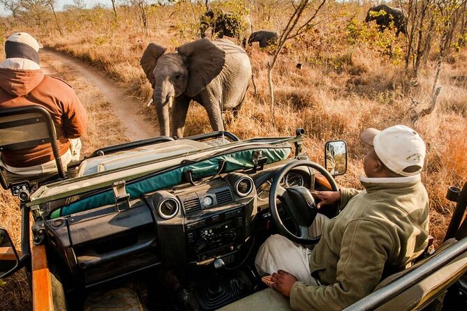1 Day Hluhluwe Imfolozi Game Reserve and Game Drive From Durban - Meeting and Pickup Instructions