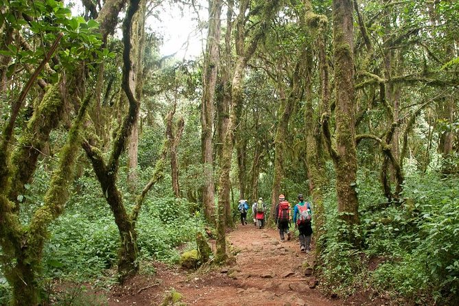 1 Day Kilimanjaro Climb via Machame Route - Frequently Asked Questions