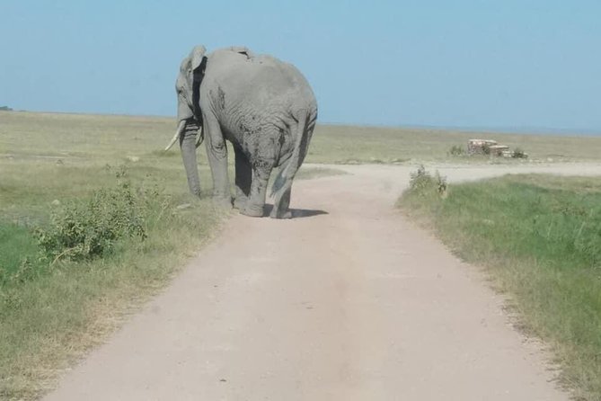 1 Day Nairobi National Park - Park Overview