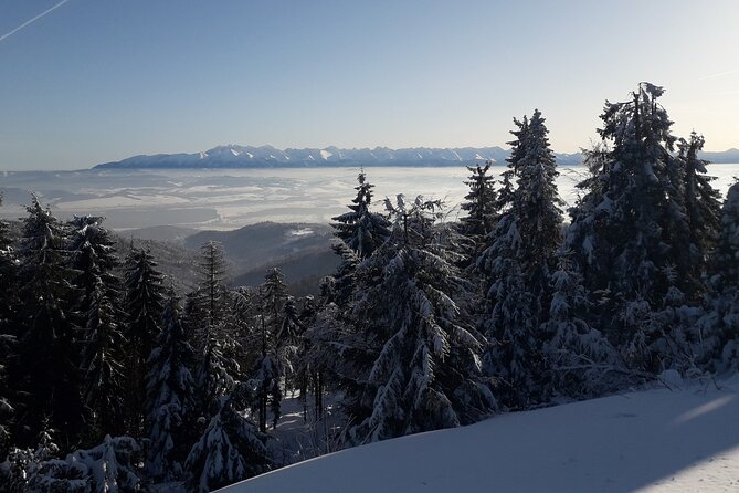 1-Day Private Snowshoe Hike in the Gorce Mountains Near Krakow - Pickup Points and Start Time