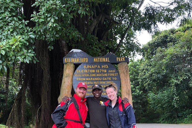 1 Day Tour Hike Mount Kilimanjaro Through Marangu Route - Price and Availability
