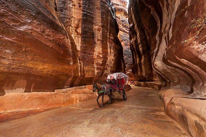 1 Day Tour to Petra From Eilat - Reviews and Testimonials