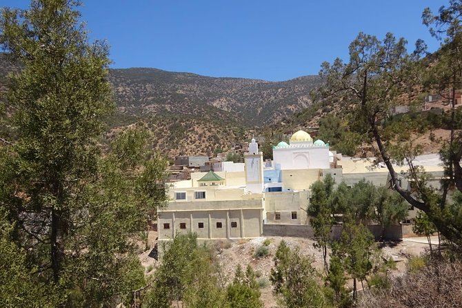 1 Day Trip to the Local Berber Village + Tagine Cooking Class - Customer Reviews