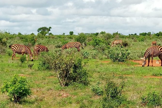 1 Day Tsavo East Safari ( Minimum 2 Pax) - Additional Info