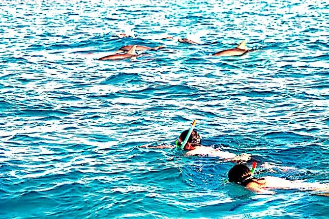 1 Day Wasini Island ( Kisite Marine Park) - Cancellation Policy