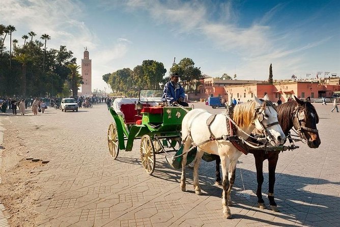 1-Hour Horse Carriage Ride: Discover Marrakech in Style - Included Services