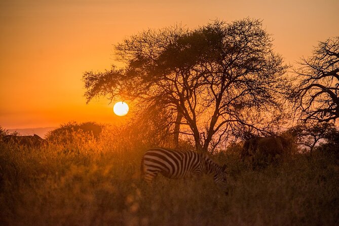 10 Day Private Celebrity Tanzania Safari Experience - Cultural Immersion Activities