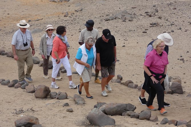 10 Days Namibia Tour and Safari Private Guided Tour - Safari Experience