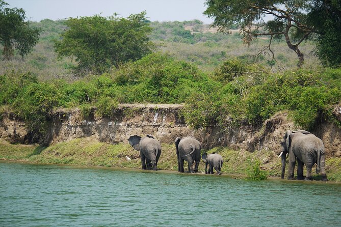 10 Days Private Uganda Safari With Pick-Up - Dining Experiences
