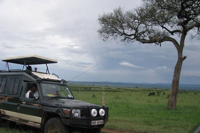 12 Days Private Safari Tour in Kenya and Tanzania - Frequently Asked Questions