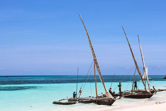 13 Days Tanzania Safaris and Zanzibar Holidays - Safari Experience