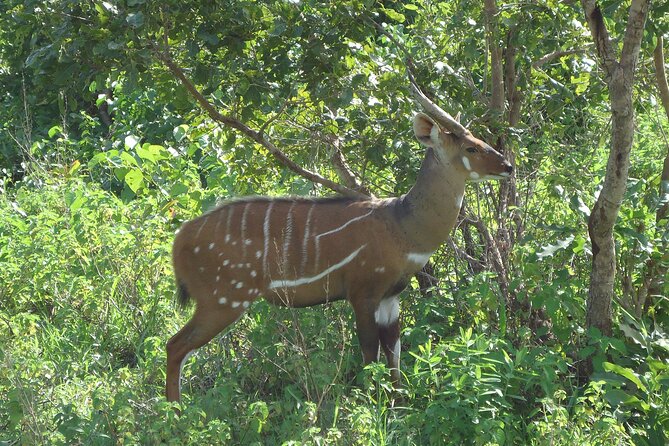 15-Day Ghana Wildlife Private Tour - Accommodation Details
