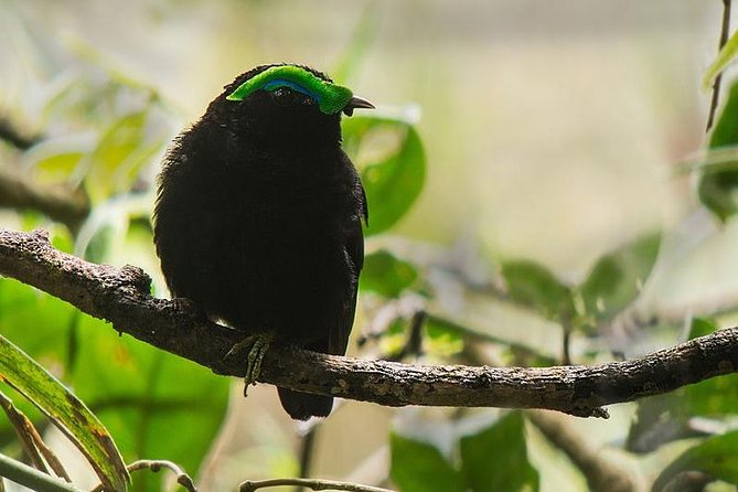 15 Days Exploring South and West of Madagascar - Inclusions and Exclusions
