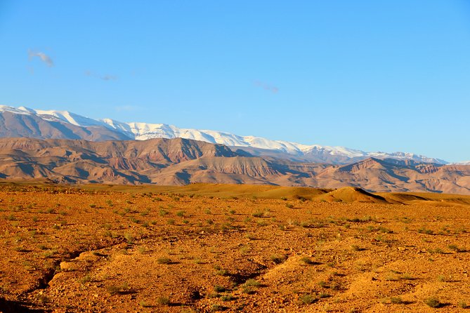 15-Days Private Tour Highlights of Morocco From Tangier - Booking Process