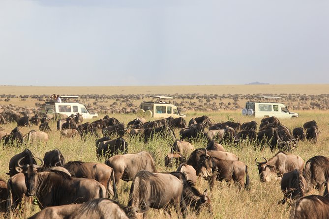 1_Day - NGORONGORO CRATER Tanzania Safari National PARK - Inclusions and Accessibility