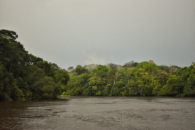 2 Day Guided Wildlife Spotting in the Ngoyla Faunal Reserve