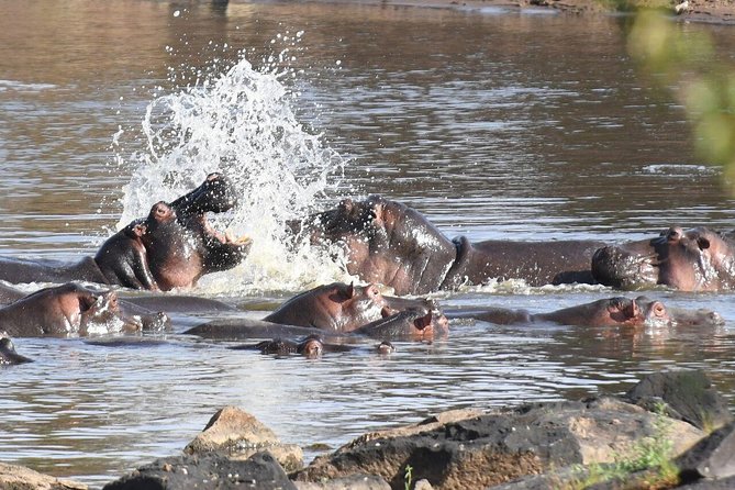 2-Day Maasai Mara Safari - Pricing Information