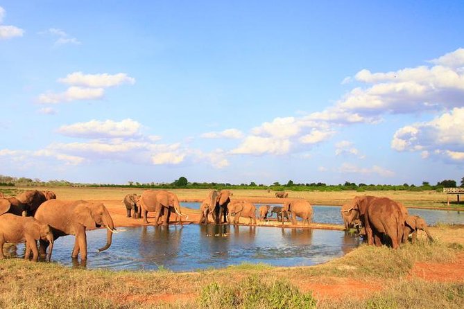 2-Day Mombasa to Tsavo East Safari - Meals and Inclusions