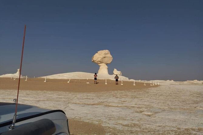 2-Day-One Night Camping Tour in the Bahariya Oasis With Private Transfer - Inclusions and Pickup Details