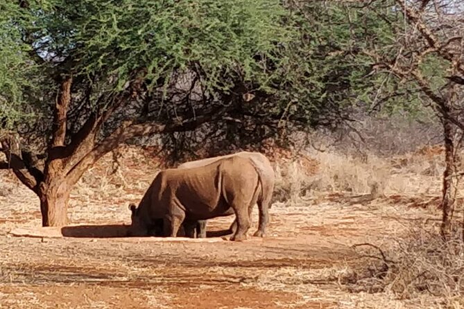 2-Day Private Guided Tour to Tarangire and Ngorongoro - Accessibility Considerations