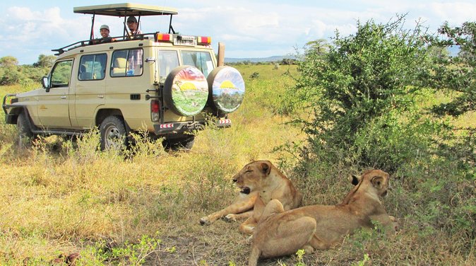 2 Day Private Safari in Tarangire and Maasai Village - Tarangire National Park Exploration