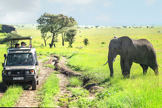 2-Day Tanzania Safari Extension After Kilimanjaro Trek - Safari Activities Schedule