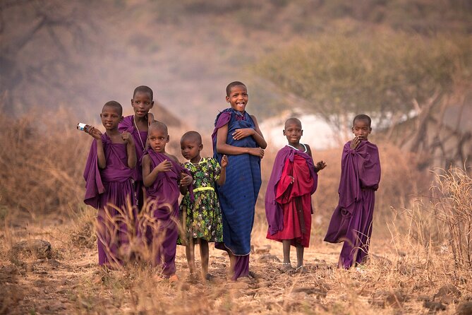 2-Day Tour Safari Tarangire Ngorongoro Crater and Maasai Village - Important Reminders