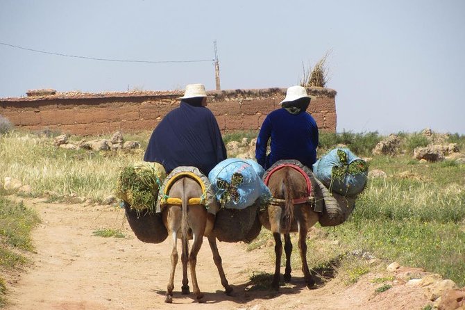 2 Day Trek Atlas Mountains and Berber Villages - Health Recommendations