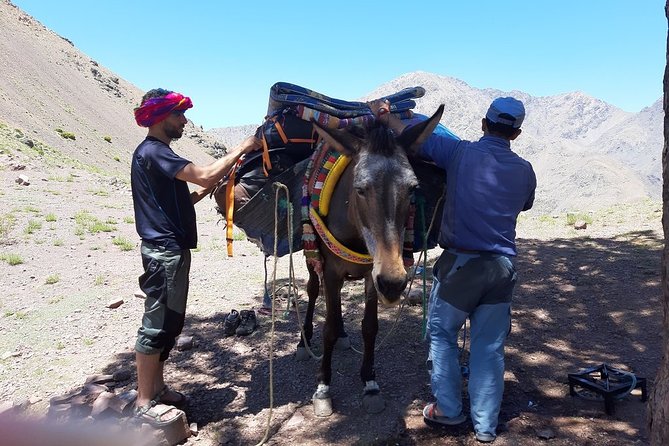 2 Day Trek To The Atlas Mountains and Berber Villages From Marrakech - Customer Reviews