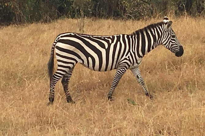 2-Day Tsavo National Park Private Safari From Mombasa - Cancellation Policy