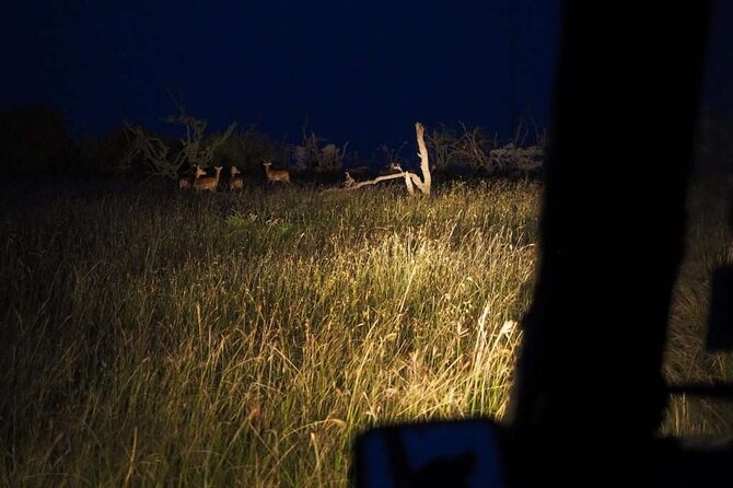 (2 Days, 1 Night) Day & Night Game Drive Tsavo East National Park - Frequently Asked Questions