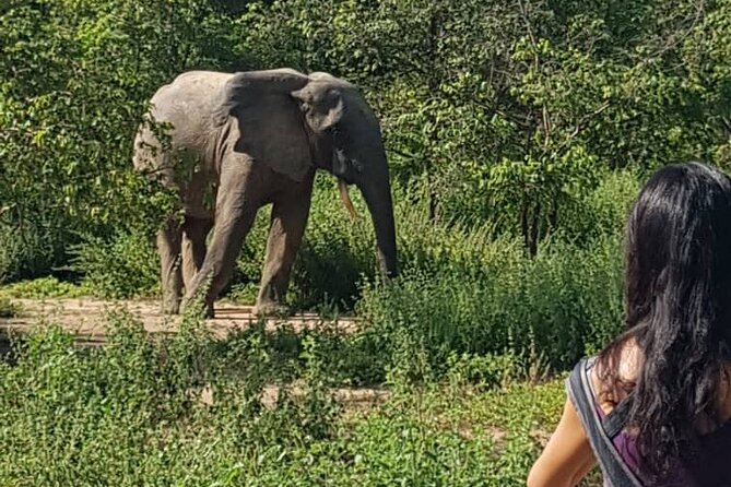 2 Days (1 Night) Elephants Safari at Mole Park With Round - Trip Flights - Frequently Asked Questions