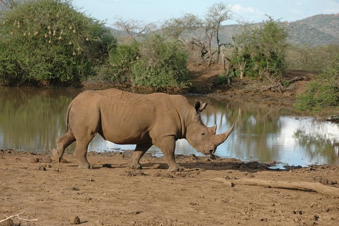 2 Days / 1 Night Join Group Safari - Included Amenities