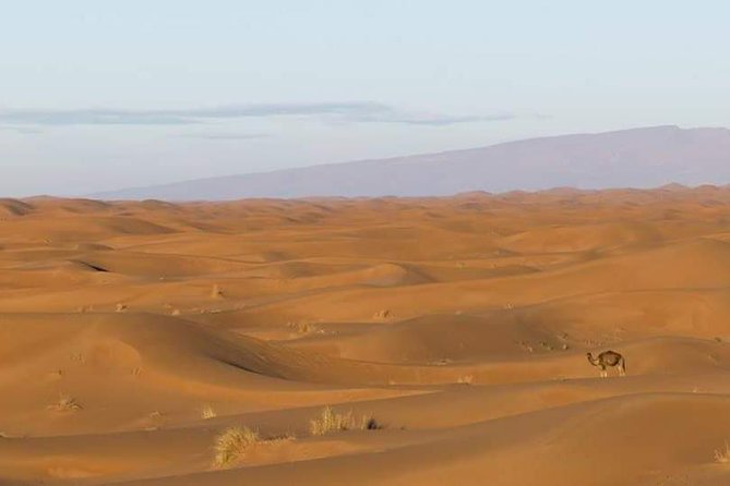 2 Days/1 Night Tour From Mhamid to Erg Chigaga - Included Services