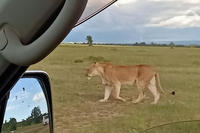 2 Days / 1 Night - Tsavo Explorer Safari - Tour Highlights