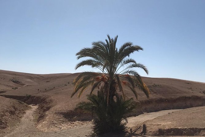 2 Days / 1 Nights, Fes To Fes Desert Tour - Meeting and Pickup Information