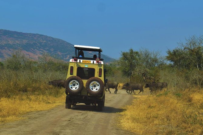 2 Days Akagera National Park Game Drive