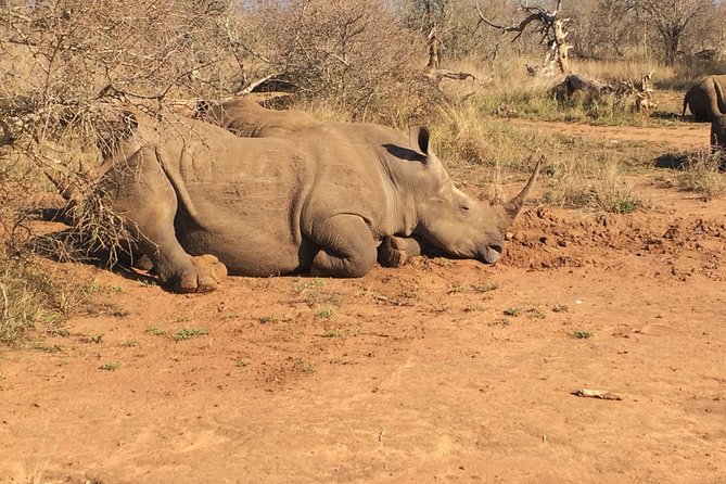 2 Days Cultural Swaziland Hlane National Park - Cultural Immersion Activities