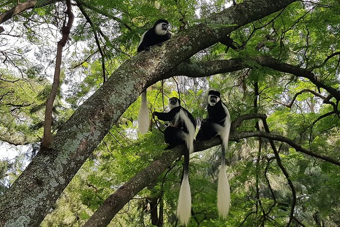 2 Days Ethiopian Rift Valley Lakes Tour From Addis Ababa - Booking and Confirmation