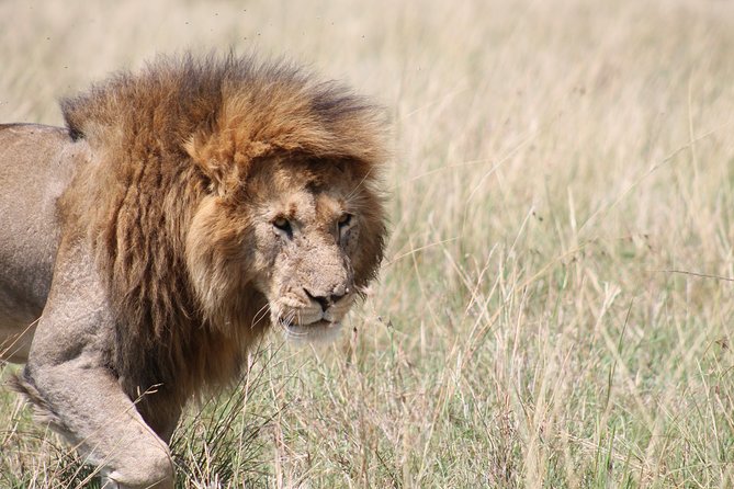 2 Days Masai Mara Safari - Inclusions and Exclusions
