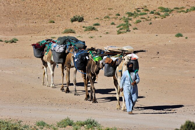 2 Days Private Tour From Marrakech to Zagora Desert - Frequently Asked Questions
