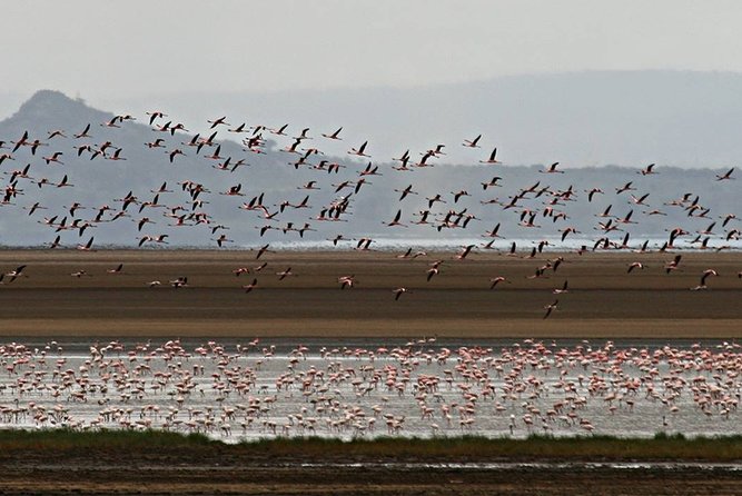 2 Days Private Tour to Ngorongoro and Tarangire National Park